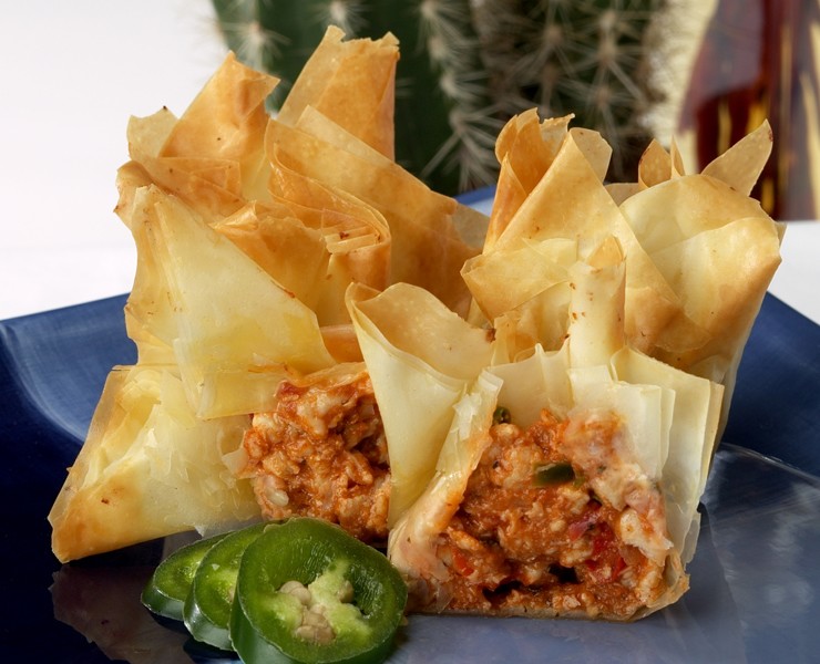 SANTA FE CHICKEN BEGGAR'S PURSE